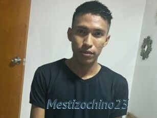 Mestizochino23