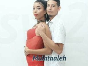 Mulataaleh