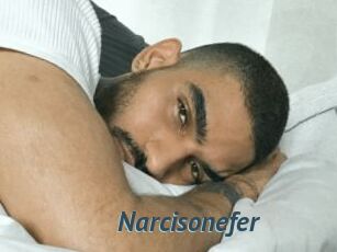 Narcisonefer