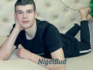 NigelBud