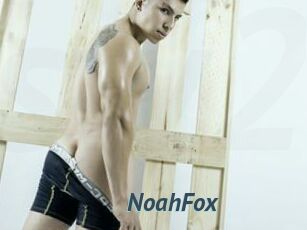 NoahFox