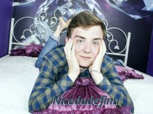 Nicedudefinn
