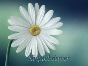 Nipplebdsmer