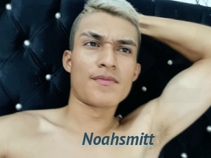 Noahsmitt
