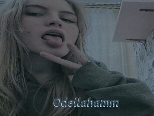 Odellahamm
