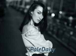PaleDaisy