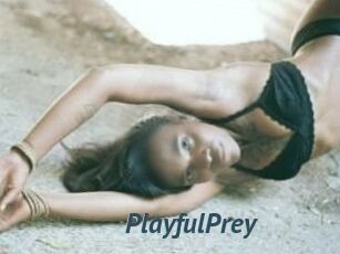 PlayfulPrey