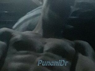 PunaniDr