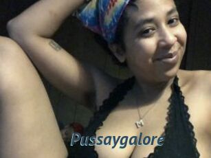 Pussaygalore