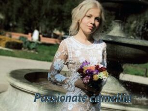 Passionate_camellia