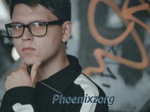 Phoenixzorg