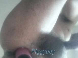 Piggyboy