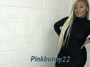 Pinkbunny22