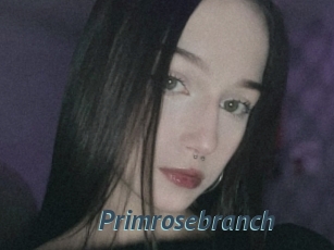 Primrosebranch