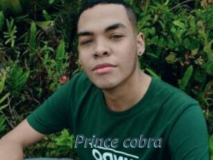 prince_cobra Sex Webcam 20