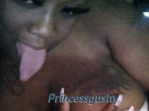 Princessgushy