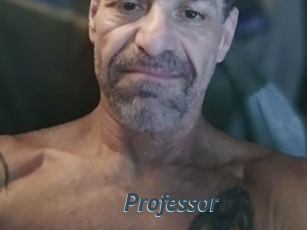 Professor