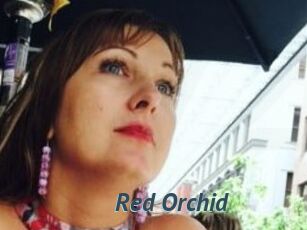 Red_Orchid