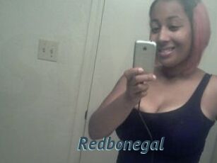 Redbonegal