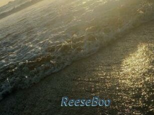 ReeseBoo