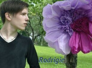 Rodrigie