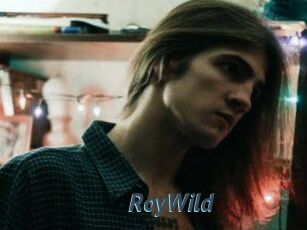 RoyWild