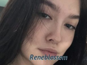 Reneblossom