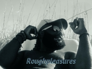 Roughpleasures