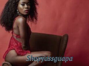 Shapyassguapa