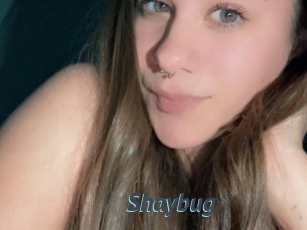 Shaybug