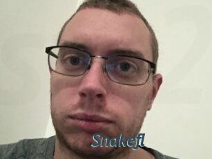 Snakefl
