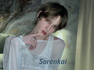 sorenkai Sex Webcam 20