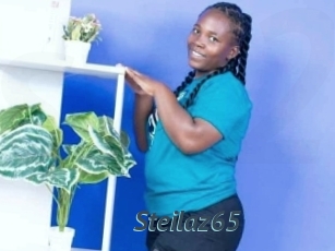 Steilaz65