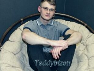 Teddybizon