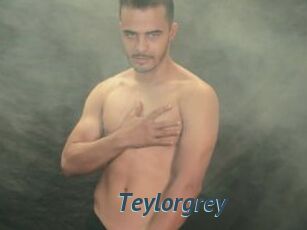 Teylorgrey