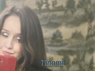 Tinamit