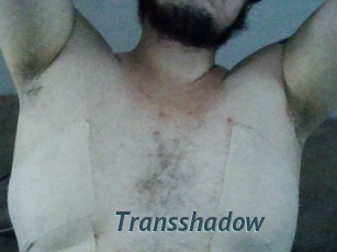 Transshadow