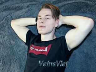 VeinsViet