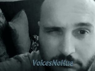 VoicesNoHue