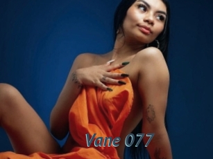 Vane_077