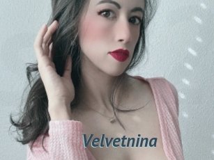 velvetnina Sex Webcam 20