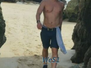 WeS1