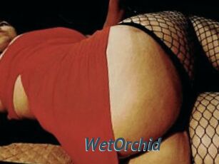 WetOrchid