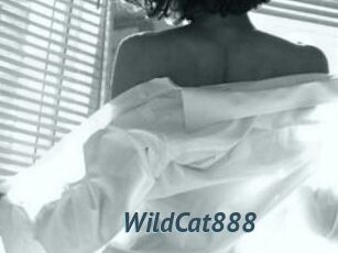 WildCat888