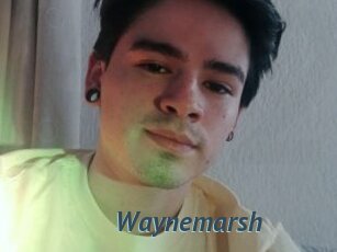 Waynemarsh