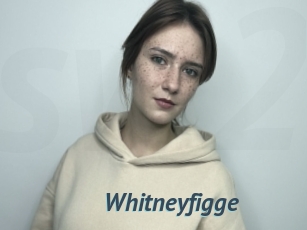 Whitneyfigge