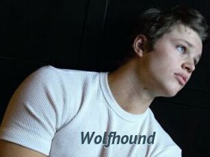 Wolfhound