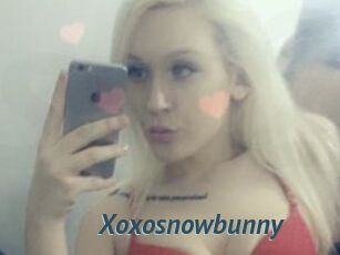 Xoxosnowbunny