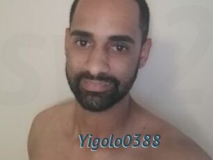 Yigolo0388