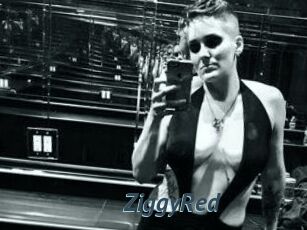 ZiggyRed